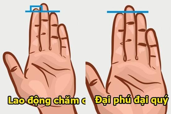 Bàn tay có 8 đặc điểm chứng minh '3 đời tiêu không hết của'