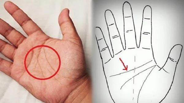 Bàn tay có 8 đặc điểm chứng minh 3 đời tiêu không hết của-2