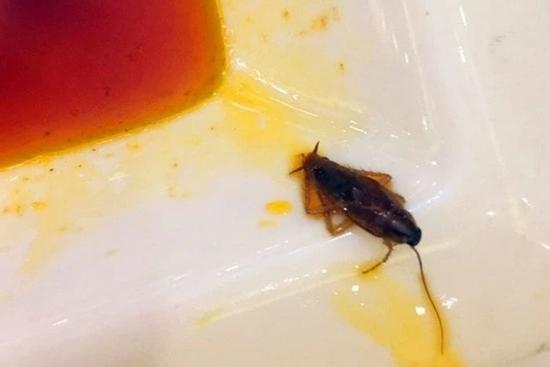 Bán đồ ăn khuyến mãi gián, chủ nhà hàng còn nói 1 câu muốn điên