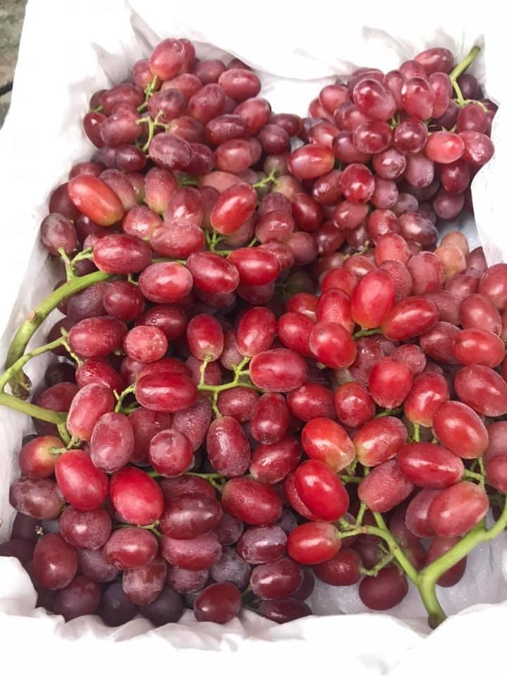 4 loại nho không hạt Trung Quốc siêu ngọt, giá rẻ cực hút khách Việt-1