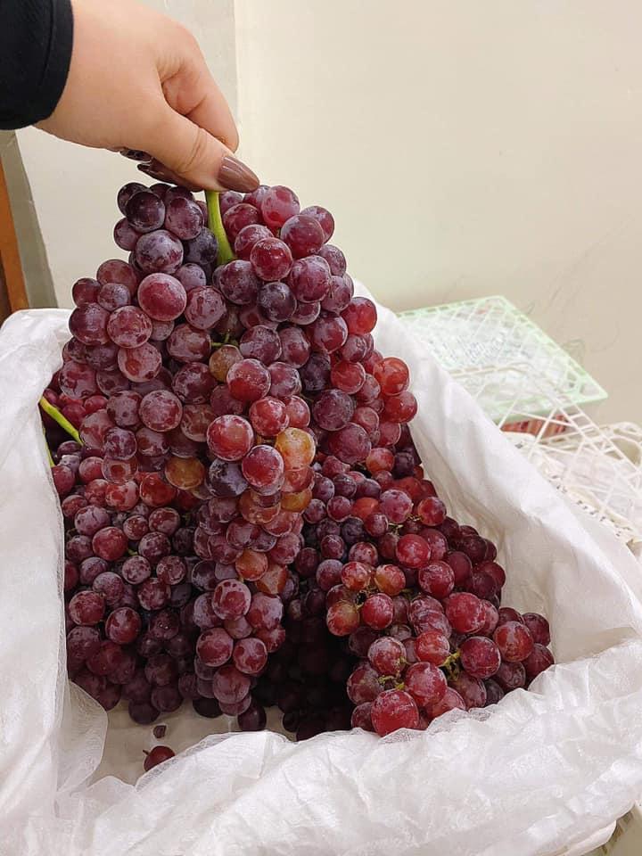4 loại nho không hạt Trung Quốc siêu ngọt, giá rẻ cực hút khách Việt-5