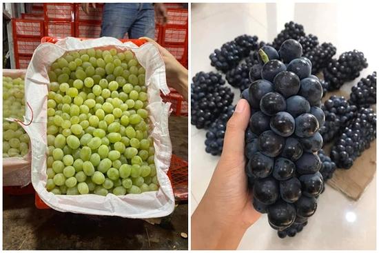 4 loại nho không hạt Trung Quốc siêu ngọt, giá rẻ cực hút khách Việt