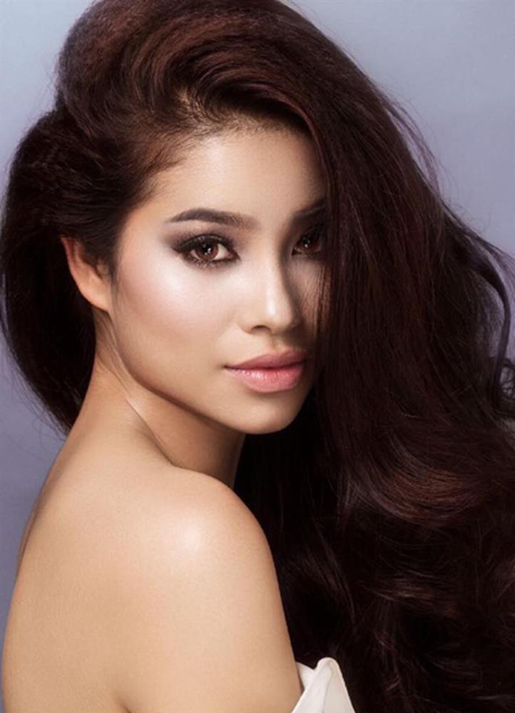Ảnh profile mỹ nhân Việt tại Miss Universe: Ai hơn nổi HHen Niê?-3