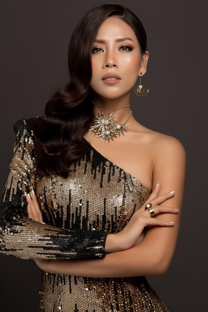 Ảnh profile mỹ nhân Việt tại Miss Universe: Ai hơn nổi HHen Niê?-5