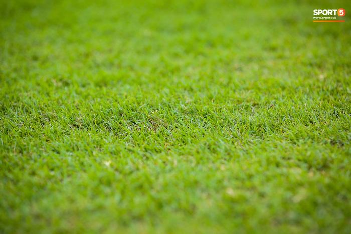 Thầy Park trả lời gắt chất lượng sân Mỹ Đình trận gặp Nhật Bản-5