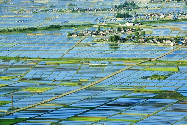 Sự hồi sinh của tuyến đường sắt lãng mạn ở Nhật Bản-6