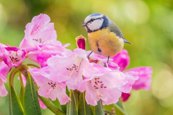 Sinh ngày Âm lịch này được quý nhân giúp đỡ, cơm áo vô lo-4