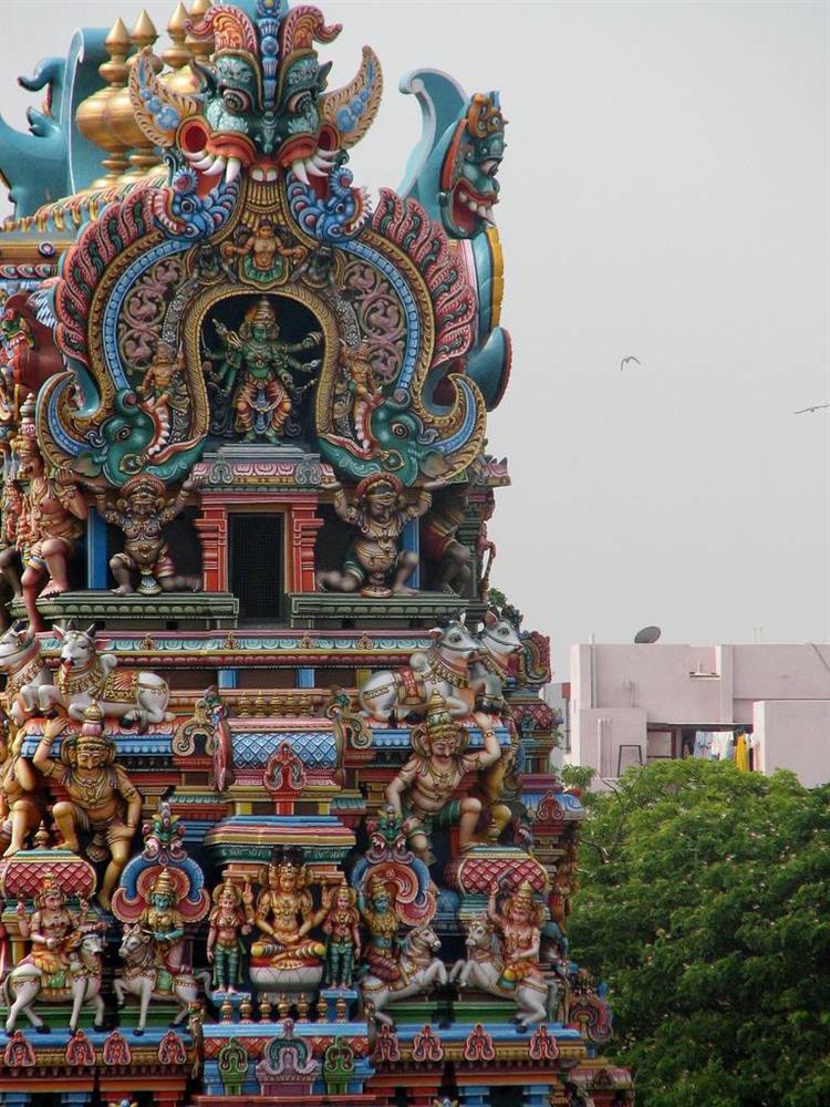 Ngắm nhìn ngôi đền có kiến trúc kì lạ và sặc sỡ ở Ấn Độ-2