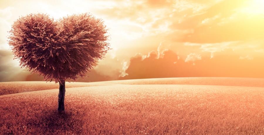 3 sự thật nhiều người không thừa nhận, nhưng vượt qua sẽ hạnh phúc-1