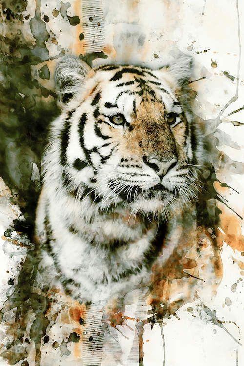 Tử vi Chủ Nhật 12 con giáp 14/11/2021: Dần vung tay quá trán-2