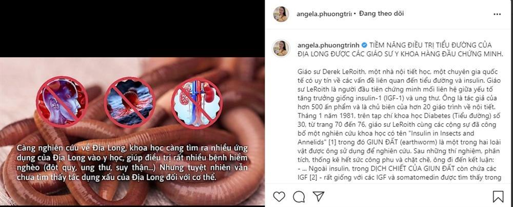 Angela Phương Trinh quyết tuyên truyền địa long dù bị phản ứng?-3