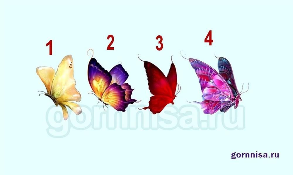 Con bươm bướm giải mã bạn có phải là người nhạy cảm không?-1