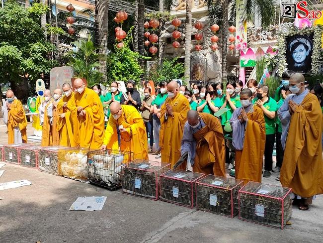 Vy Oanh, Trường Giang và dàn sao viếng Chung Thất Phi Nhung-4