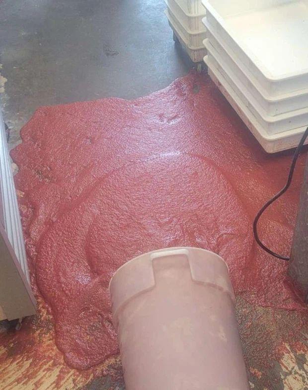 Cảnh tượng người ngoài sửng sốt nhưng là bình thường với nhà hàng-5