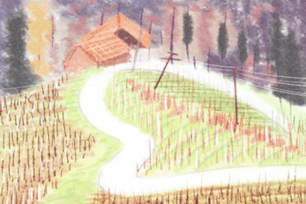 Trắc nghiệm: Bạn có thích làm những việc giúp người khác thấy vui?-3