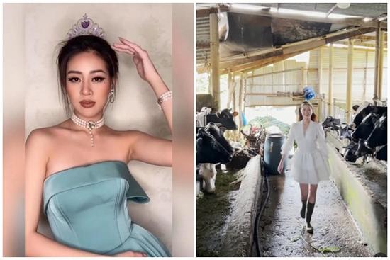 Khánh Vân catwalk giữa chuồng bò chưa choáng bằng điệu cười 'man rợ'