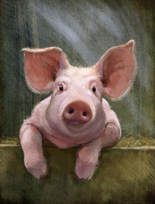 Tử vi 12 con giáp Chủ Nhật 21/11/2021: Ngọ nghiện nặng shopping-4