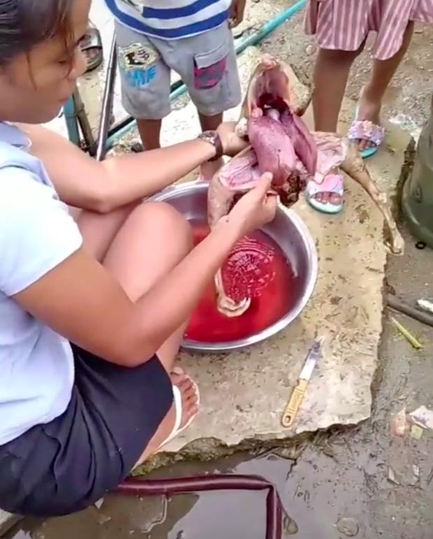 Mổ bụng gà, cô nàng hốt hoảng khi thấy nội tạng đột biến-1