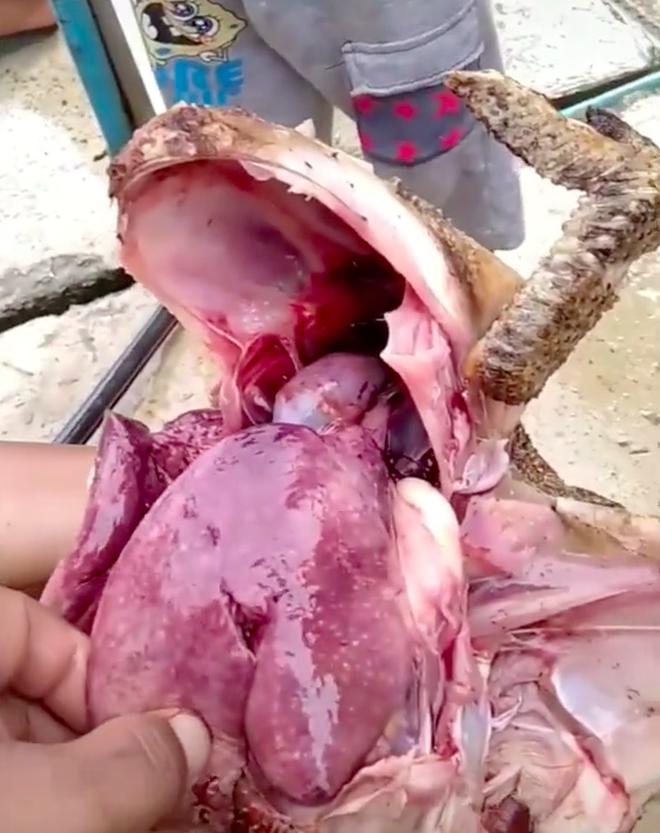 Mổ bụng gà, cô nàng hốt hoảng khi thấy nội tạng đột biến-2