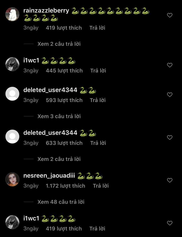 Gigi Hadid bị fan của Zayn mỉa mai là rắn độc?-2