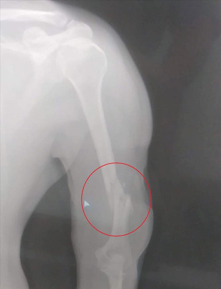 Clip: Kẻ lạ mặt bắn giám đốc công ty bất động sản tại quán cà phê-8