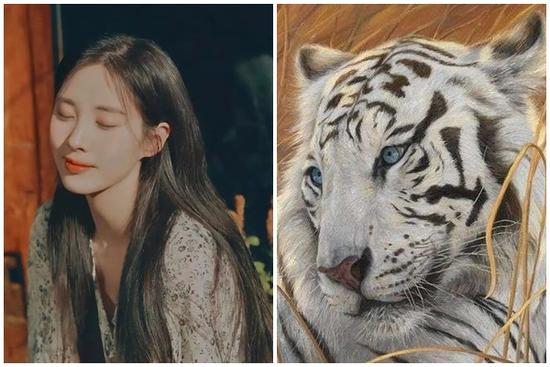 Tử vi 12 con giáp 22/11/2021 đến 28/11/2021: Tiểu nhân tìm đến Dần