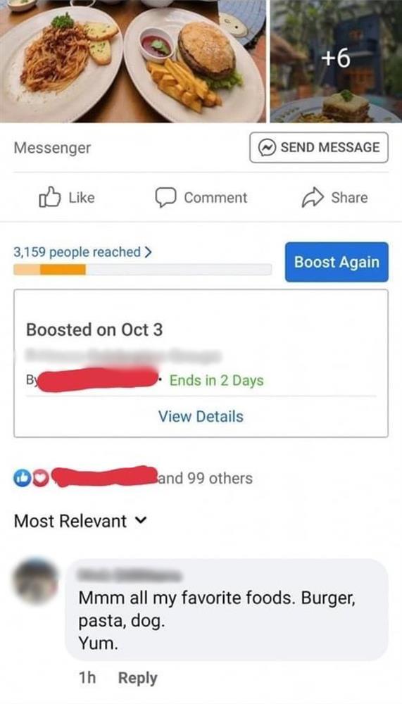 PHẪN NỘ: Khách Tây giễu cợt chó của nhà hàng là món ăn ngon-1