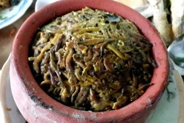 Clip chàng trai ngấu nghiến nhai rươi nguyên con, xem mà hãi-7