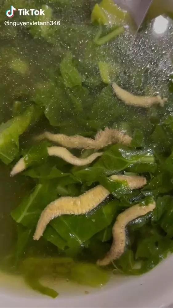 Clip chàng trai ngấu nghiến nhai rươi nguyên con, xem mà hãi-2