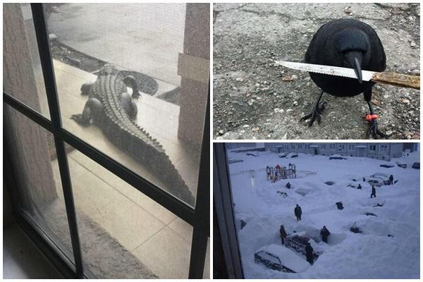 Những ông sếp có duyên khiến nhân viên vừa tức vừa buồn cười-12