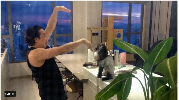 Trấn Thành bị cào chảy máu, bay màu loạt chai nước hoa đắt đỏ-1