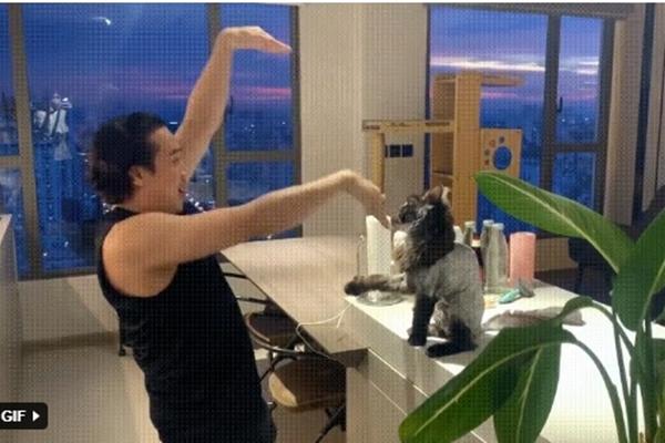 Trấn Thành ngã ngửa vì Hari Won lú ngôn ngữ đến thượng thừa-5