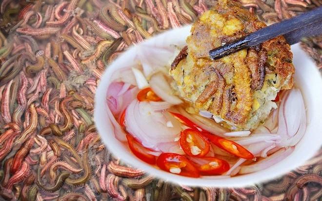 Chiêm ngưỡng cách thu hoạch đặc sản rồng đất giá cả triệu/kg-5