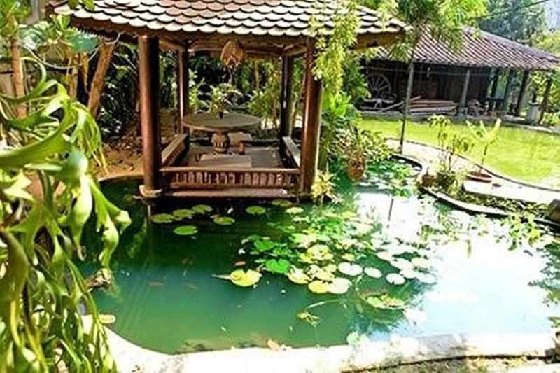 Đời tư Dương Trương Thiên Lý vẫn là ẩn số showbiz 1 thập kỷ qua-8