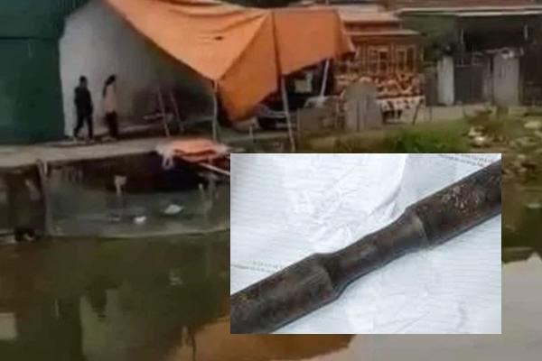 Xông vào nhà, đâm chết chồng hờ của vợ cũ rồi bỏ trốn-2