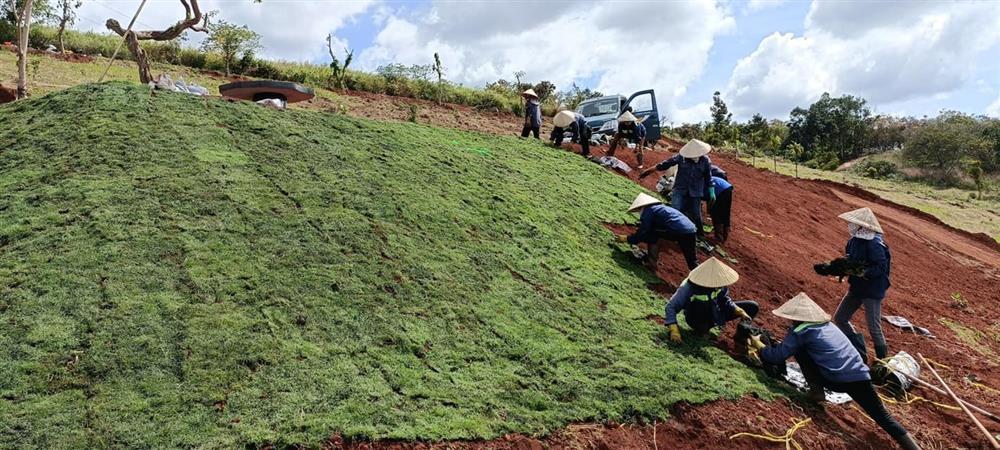 Đời sống toàn thú vui xa xỉ của Cường Đô La - Đàm Thu Trang-3