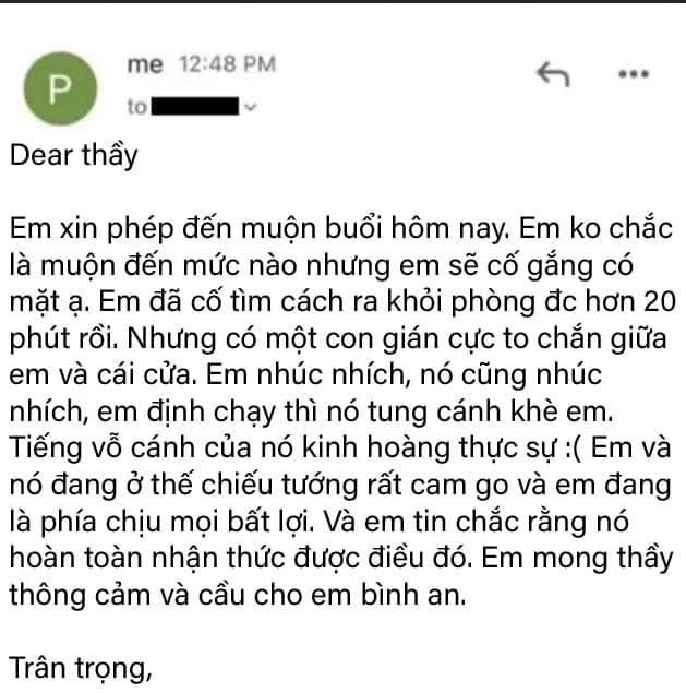 Thầy giáo cứng hàm đọc email xin đi muộn của hảo sinh viên-1