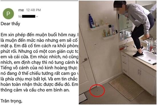 Thầy giáo 'cứng hàm' đọc email xin đi muộn của hảo sinh viên