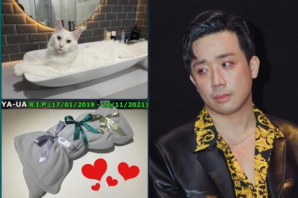 Hari Won tuyệt thực, câm lặng vì xót xa mèo cưng rơi lầu tử vong-7