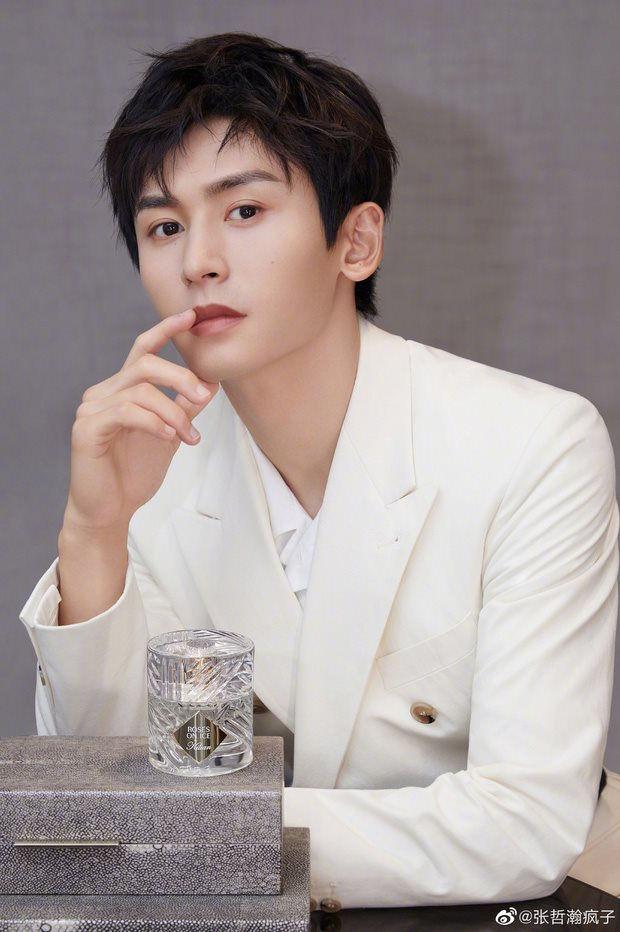 Ngô Diệc Phàm, Trịnh Sảng, Trương Triết Hạn bị cấm xuất hiện-2