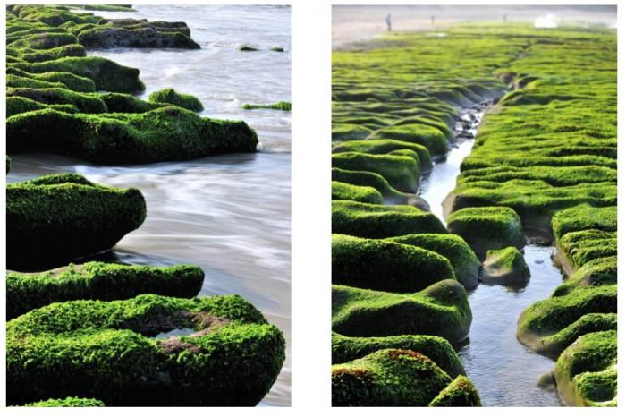 Sở hữu rạn san hô xanh mướt mắt, làng chài hút hàng ngàn du khách-4