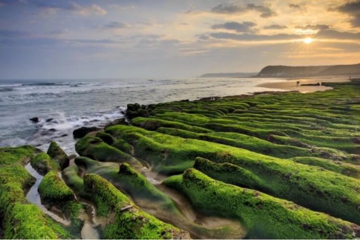 Sở hữu rạn san hô xanh mướt mắt, làng chài hút hàng ngàn du khách-5