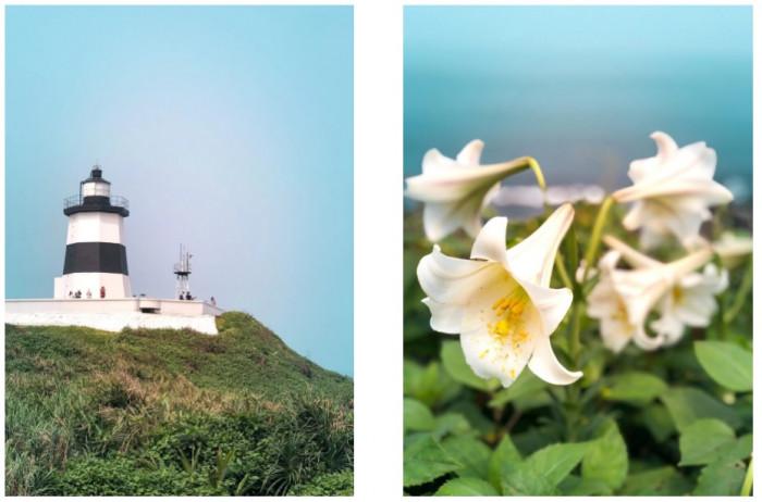 Sở hữu rạn san hô xanh mướt mắt, làng chài hút hàng ngàn du khách-6