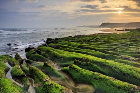 Sở hữu rạn san hô xanh mướt mắt, làng chài hút hàng ngàn du khách