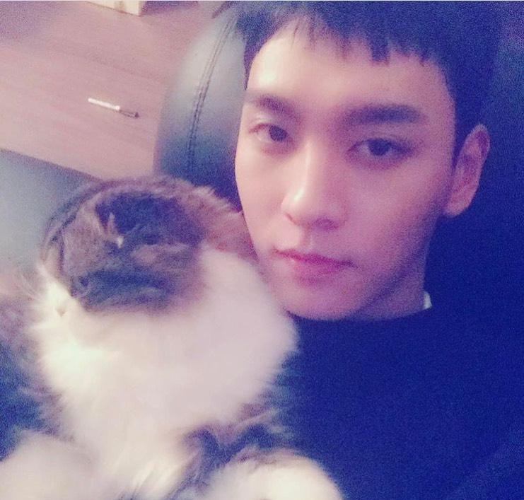 6 điểm chung thú vị của vợ chồng Park Shin Hye và Choi Tae Joon-10