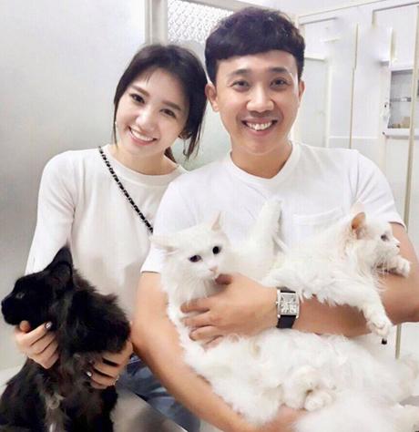 Hari Won tuyệt thực, câm lặng vì xót xa mèo cưng rơi lầu tử vong-4