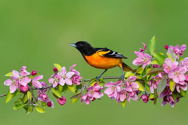 Sinh vào 5 ngày Âm lịch này phúc khí cả đời, quý nhân khắp chốn-1