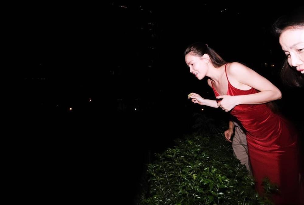 Hồ Ngọc Hà đón sinh nhật úp trước cổng biệt thự triệu đô-4