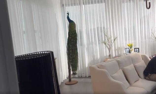 Phòng ốc Lý Nhã Kỳ được hé lộ, có thực sự hoành tráng?-3