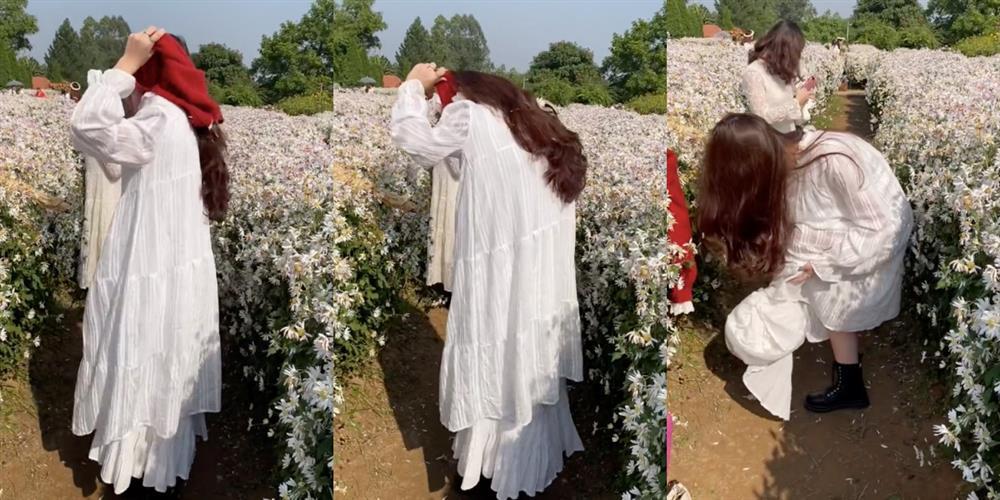 Cô gái lột đồ giữa vườn cúc họa mi và 1001 kiểu mặc phản cảm-2